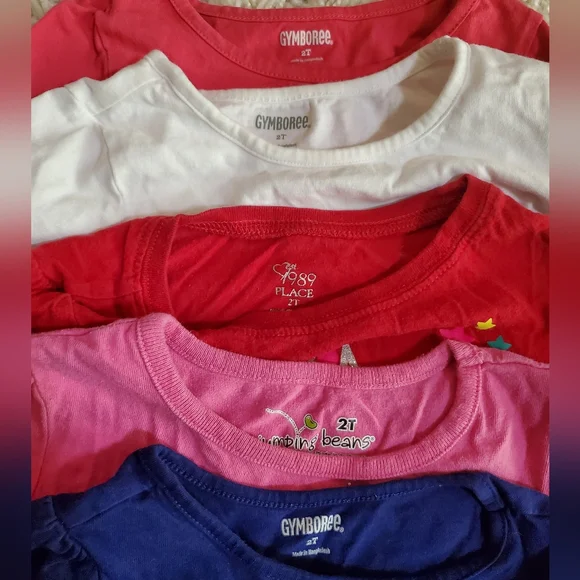 2T Girl Long Sleeve, Pants, Sweatshirt Lot
